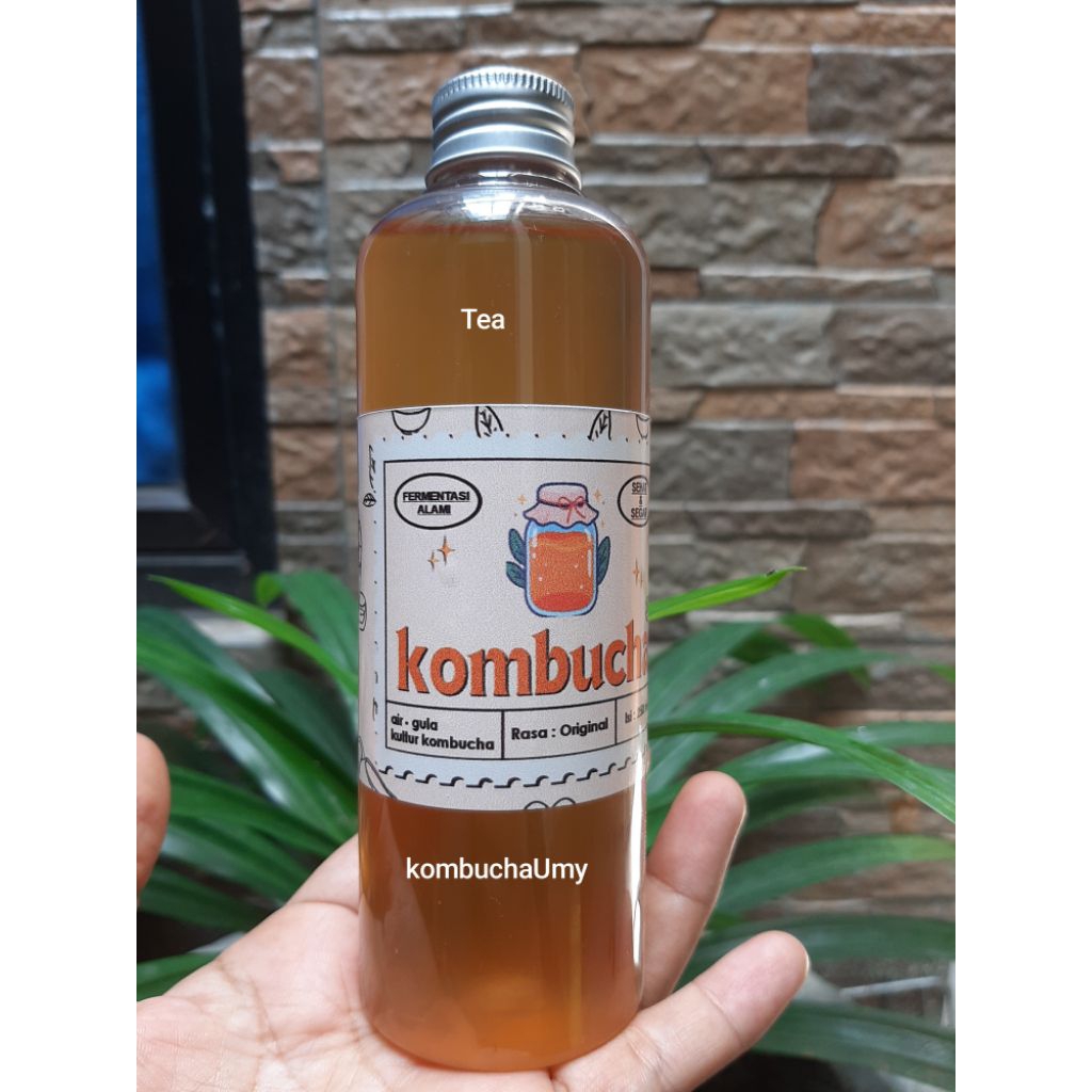 

Teh KOMBUCHA siap minum 250 ML, minuman probiotik