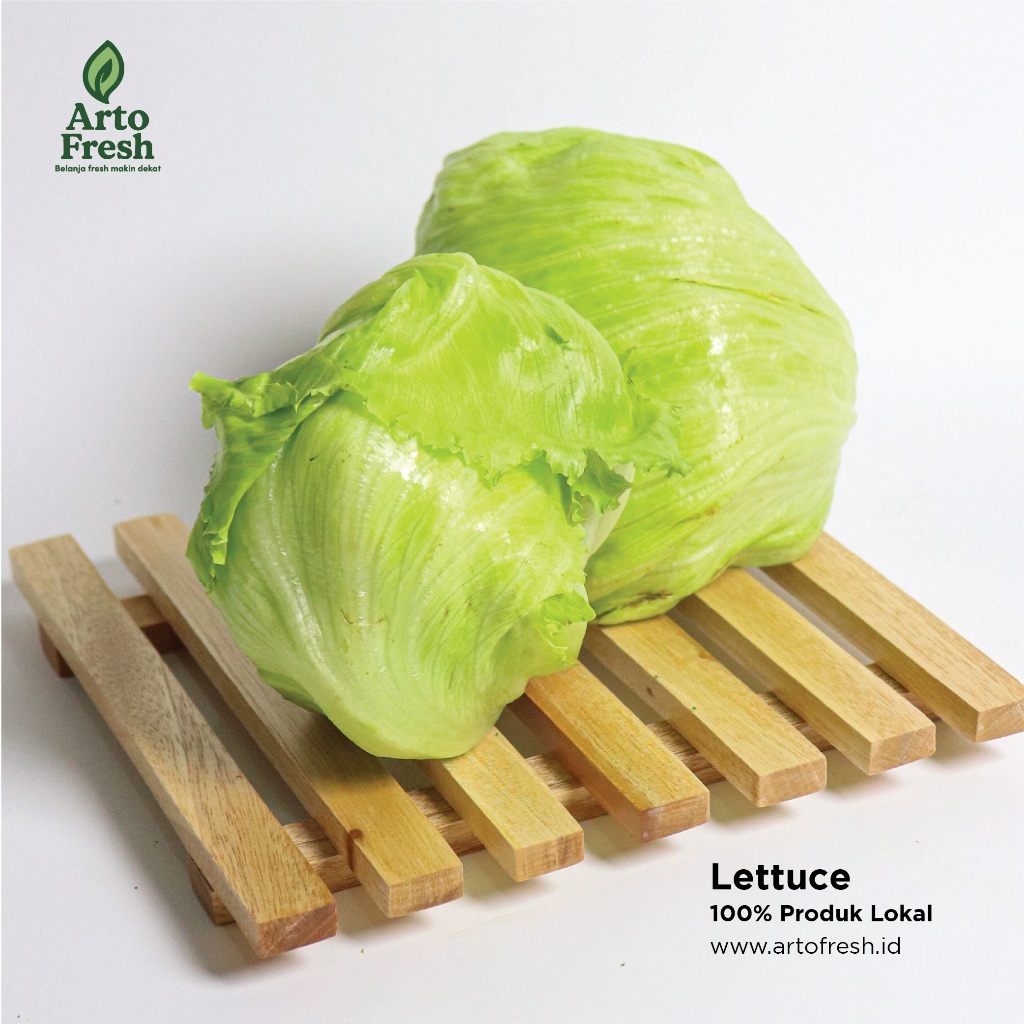 

Lettuce Segar ArtoFresh