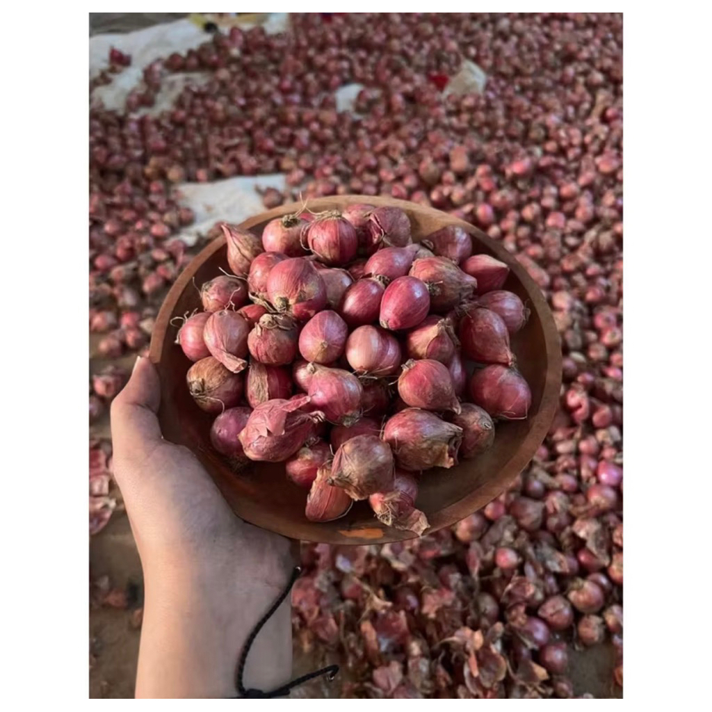 

BAWANG MERAH NGANJUK KERING 1Kg -500grm |Bawang Merah Kecil-sedang |Bawang Merah Murah