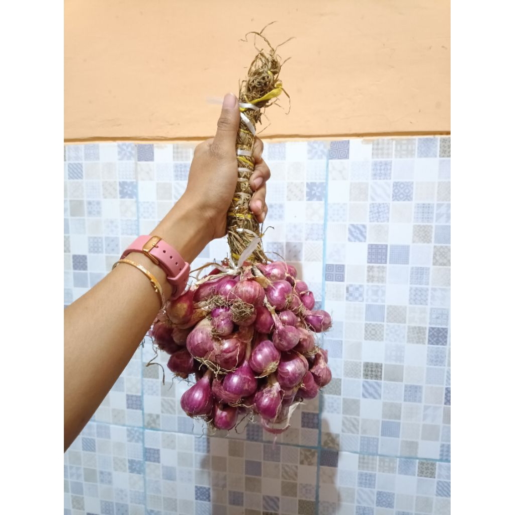 

BAWANG MERAH PROBOLINGGO JUMBO UNTINGAN/DAUNAN