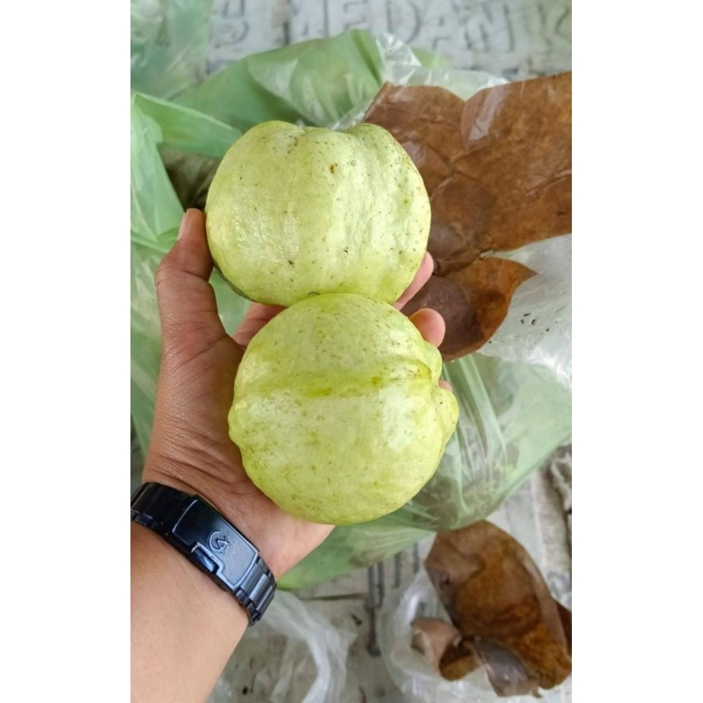 

JAMBU KRISTAL MIRIT PER 2 KG