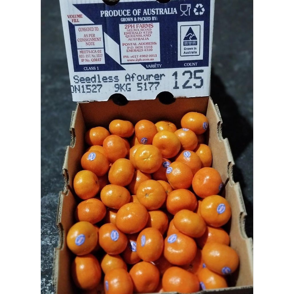 

Jeruk Afourer Manis Tanpa Biji Lembut