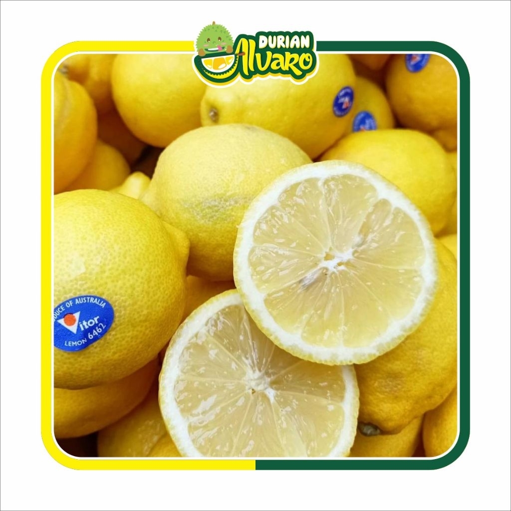 

Jeruk Lemon Import