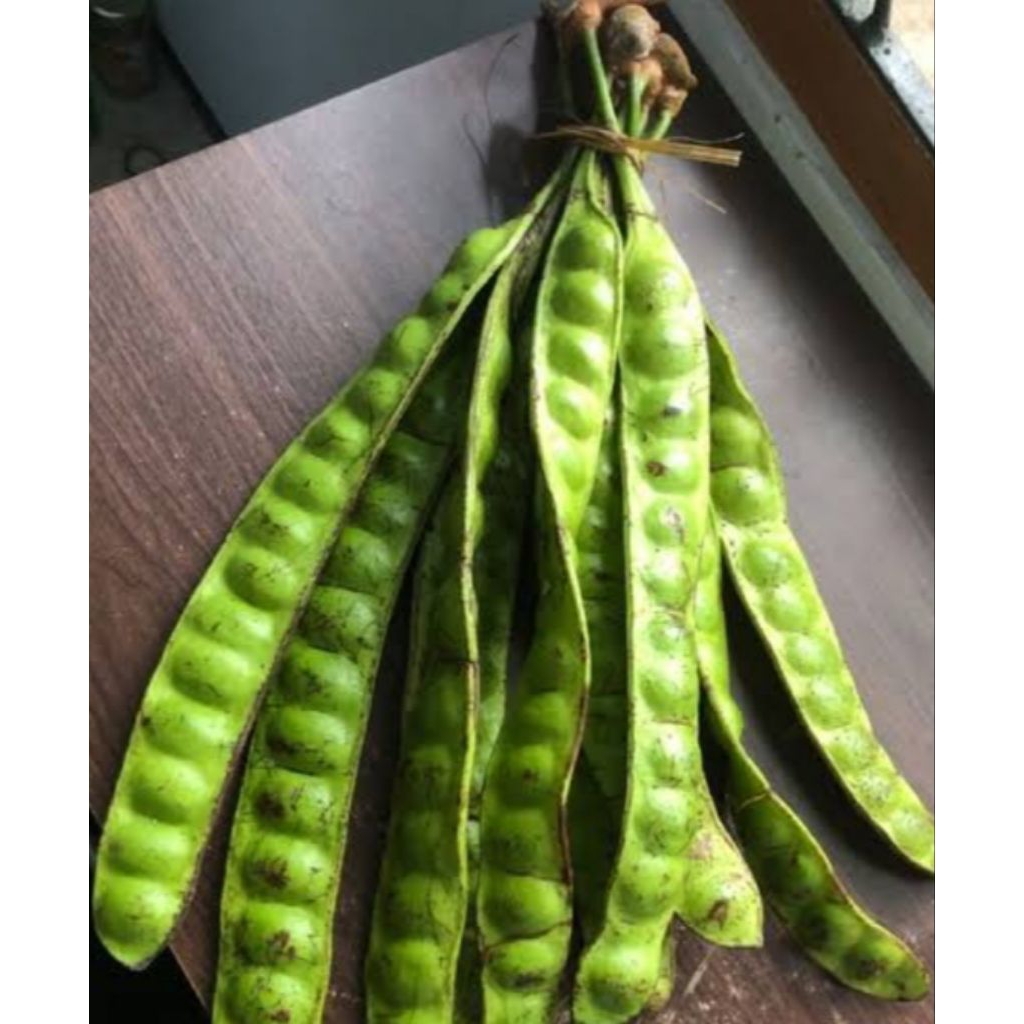 

pete petai campur panjang dan pendek isi 10 lonjor