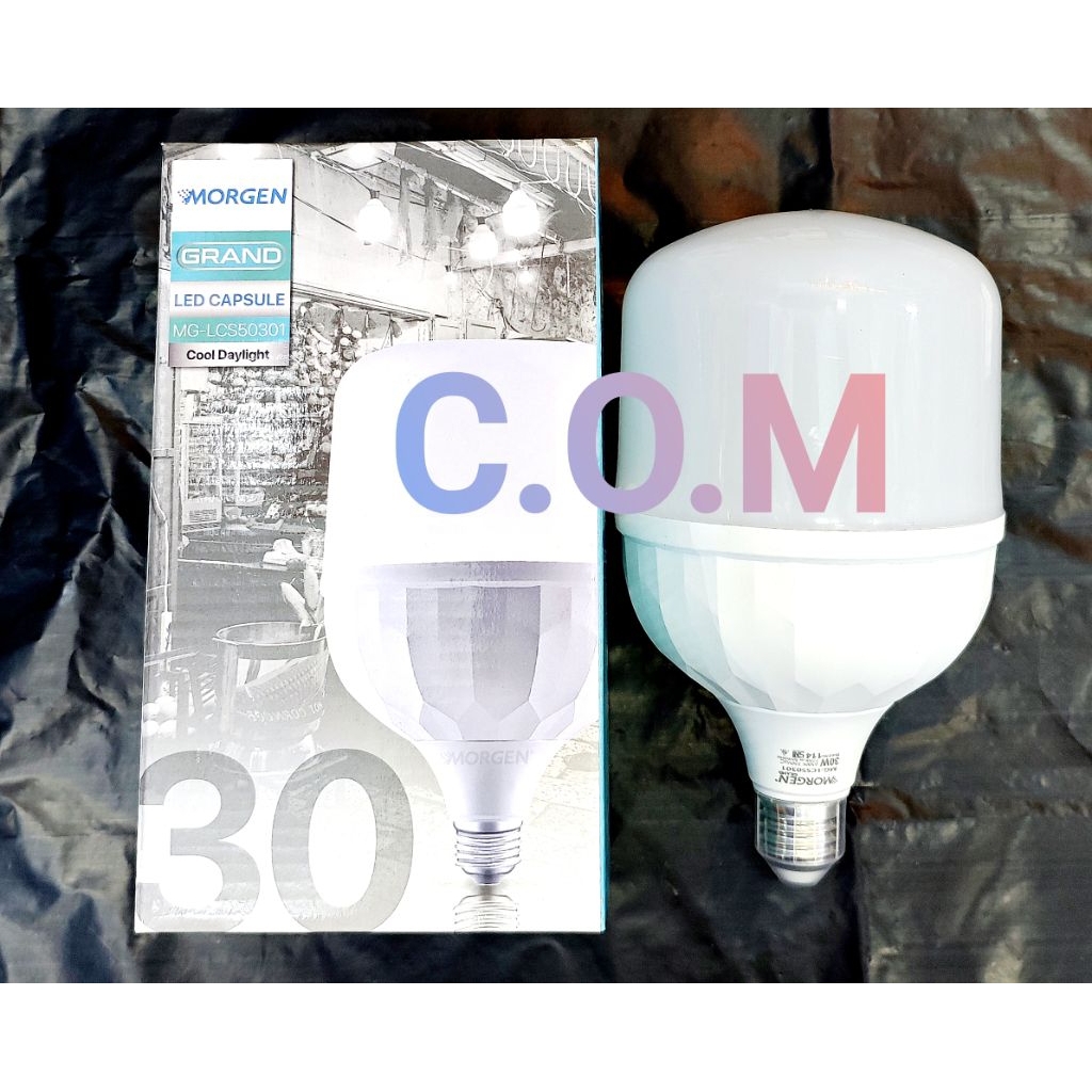 Lampu Led Capsul Morgen 30watt putih