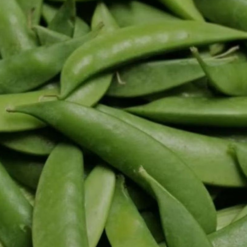 

Kacang kapri / arcis segar murah