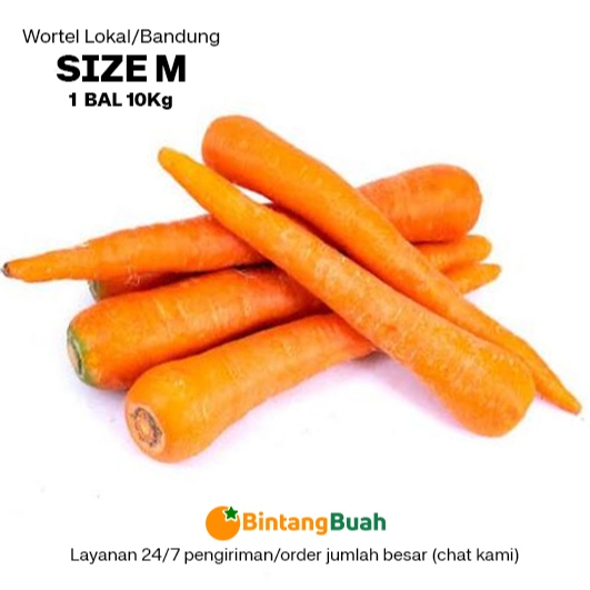

Wortel Segar Lokal M (size BESAR) / Wortel Bandung / Wortel Bandung Fresh / Carrot Fresh / Fresh Carrot / Wortel Segar / Sayuran Segar /Wortel Lokal / 10 Kg / Bal
