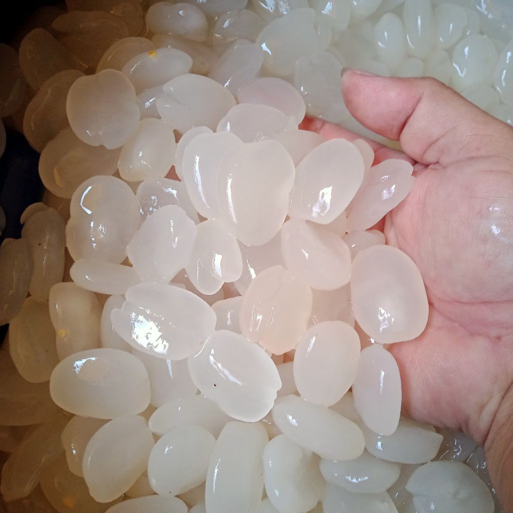 

Kolang Kaling Super Murah Meriah