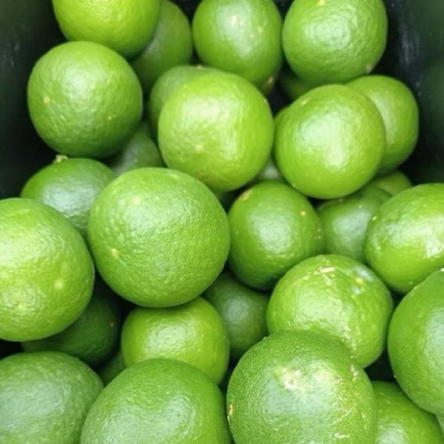 

1 Kg Jeruk || Jeruk Nipis Segar ||