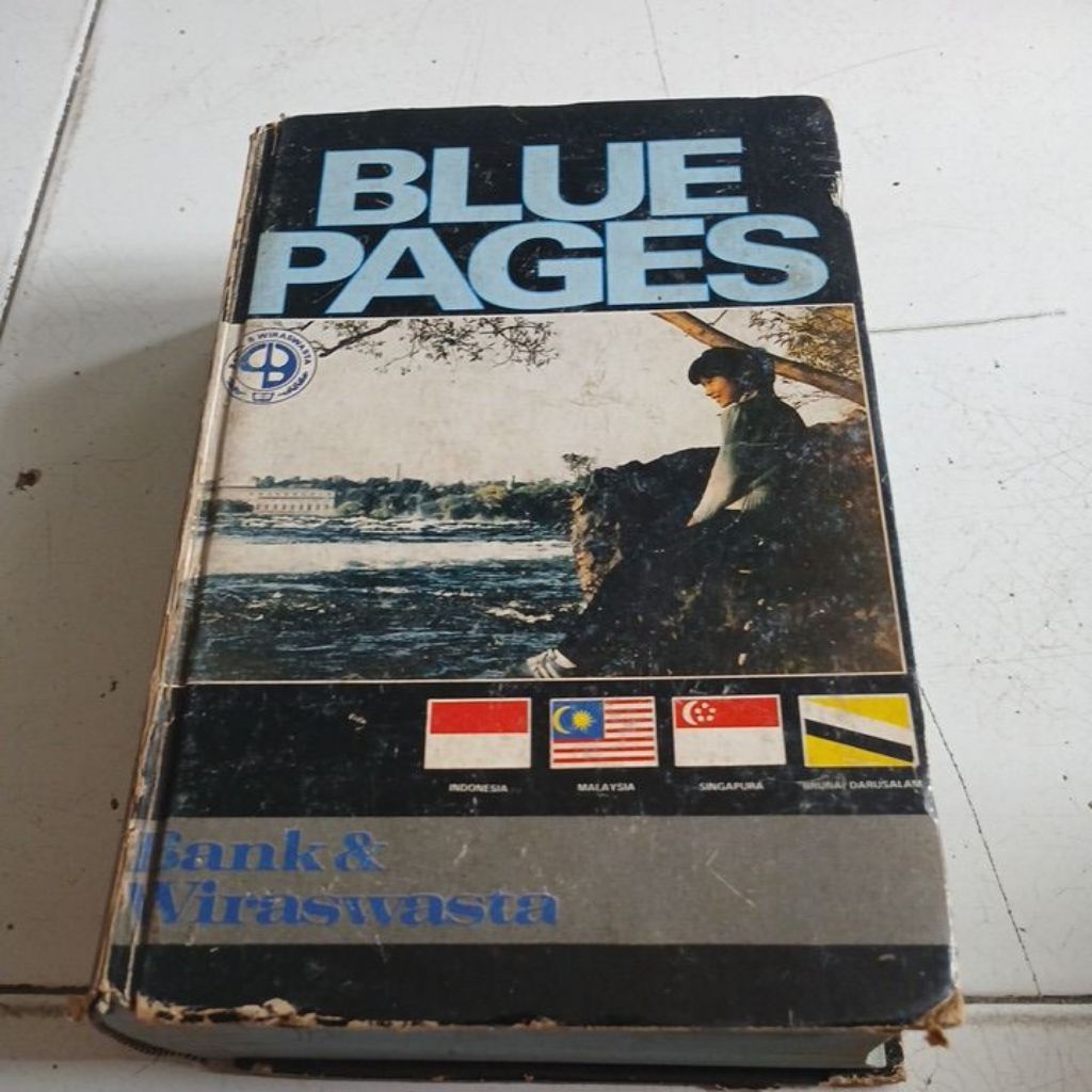 

BULUS PAGES BANK & WIRASUWASTA