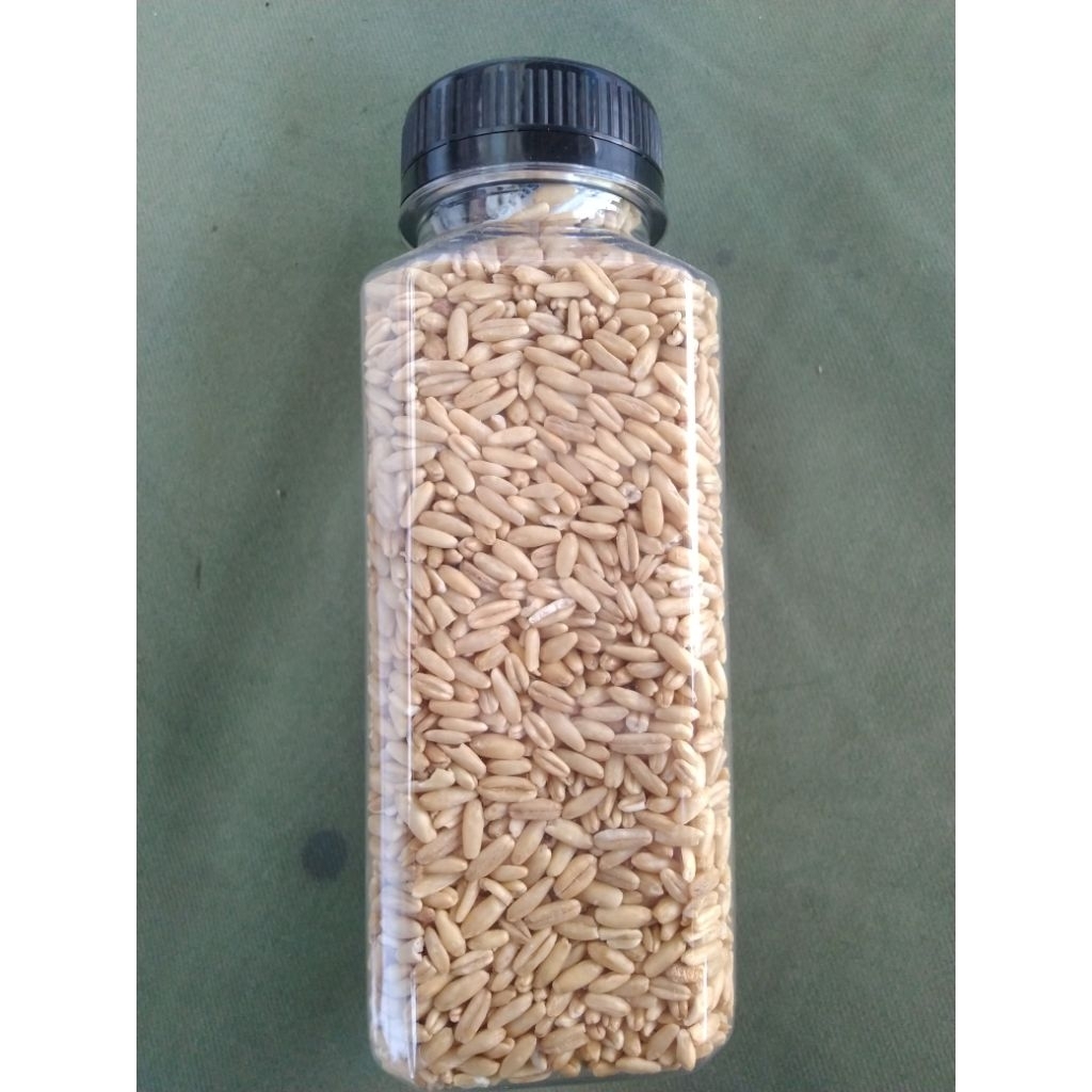 

HAVEER KUPAS OVEN 230g