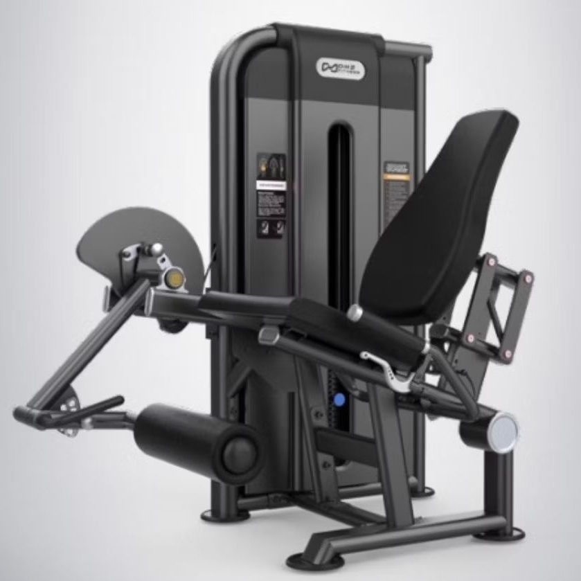 Leg Extension Leg curl Commercial Fitness