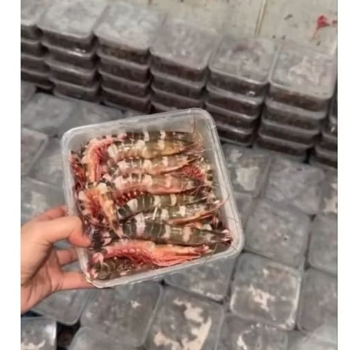 

udang windu udang cat 1kg