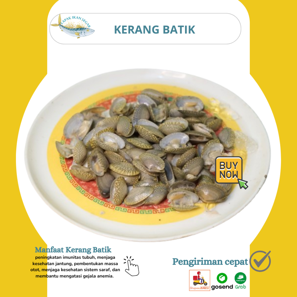 

Kerang Batik Segar Frozen 1Kg