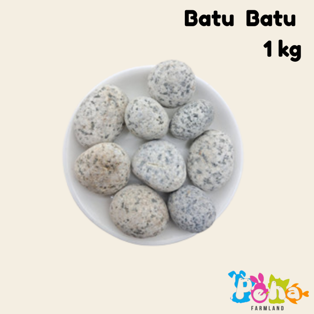 Batu Koral Telur Puyuh Batu Puyuh Hiasan Taman - Batu Aquascape 1 kg