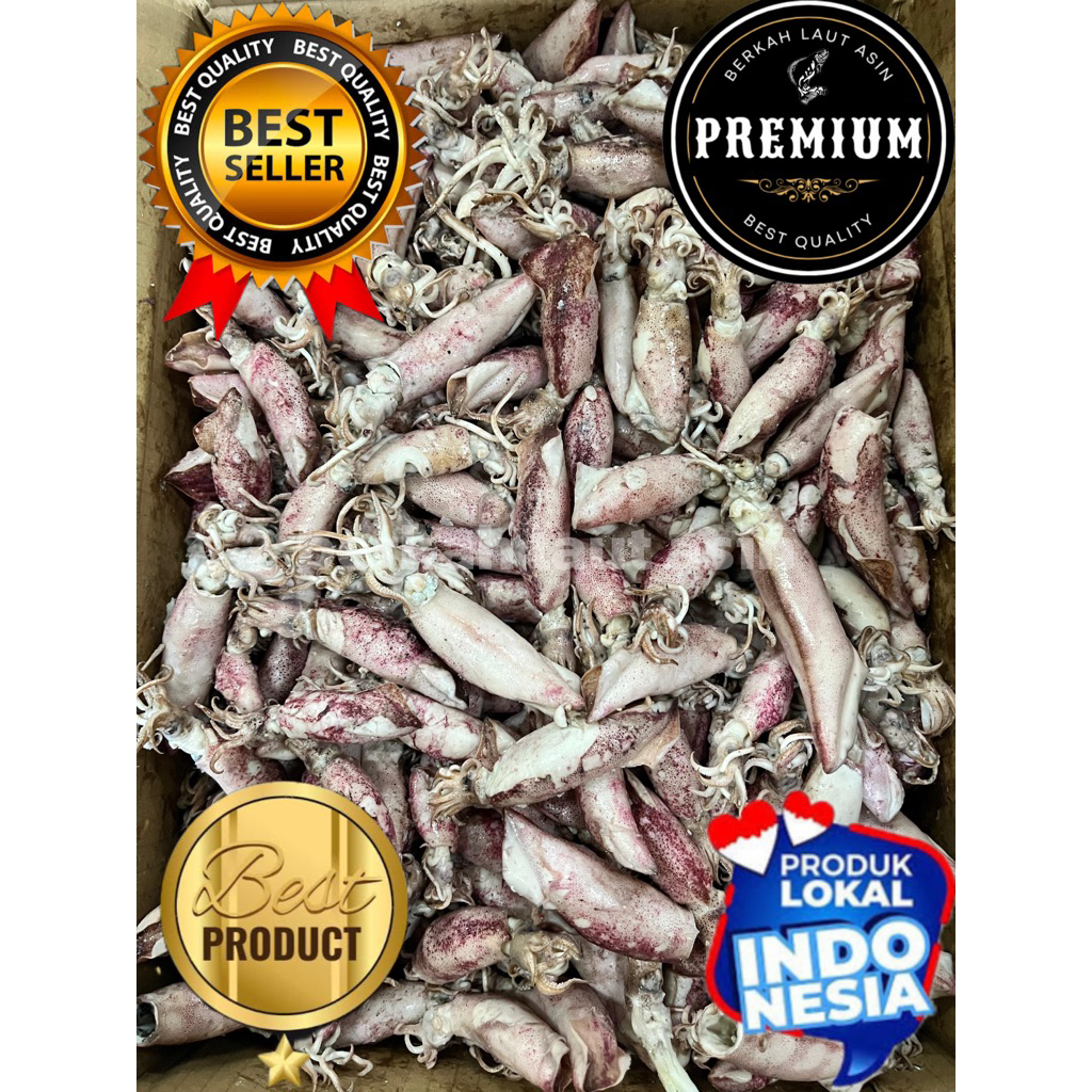 

ikan asin/cumi asin jumbo/cumi telor/ikan asin premium