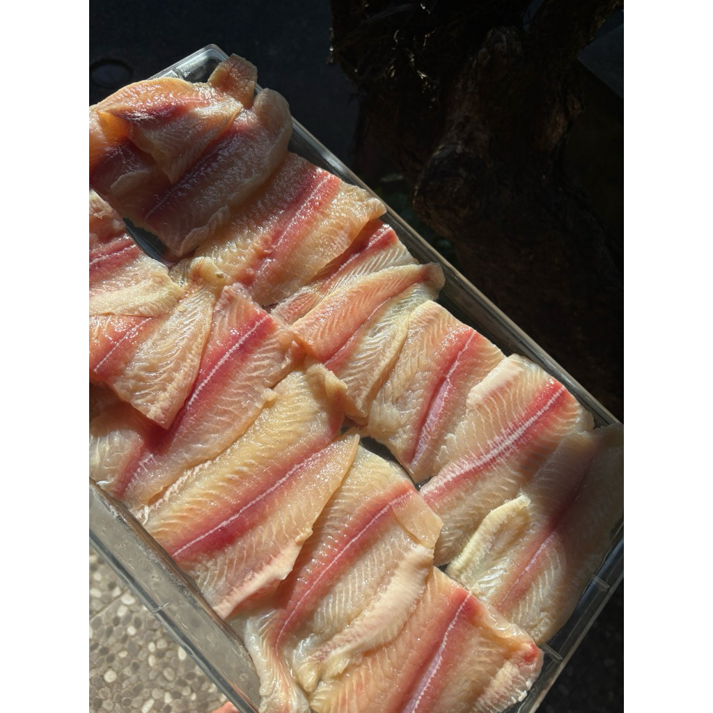 

Ikan dori filet 100gr