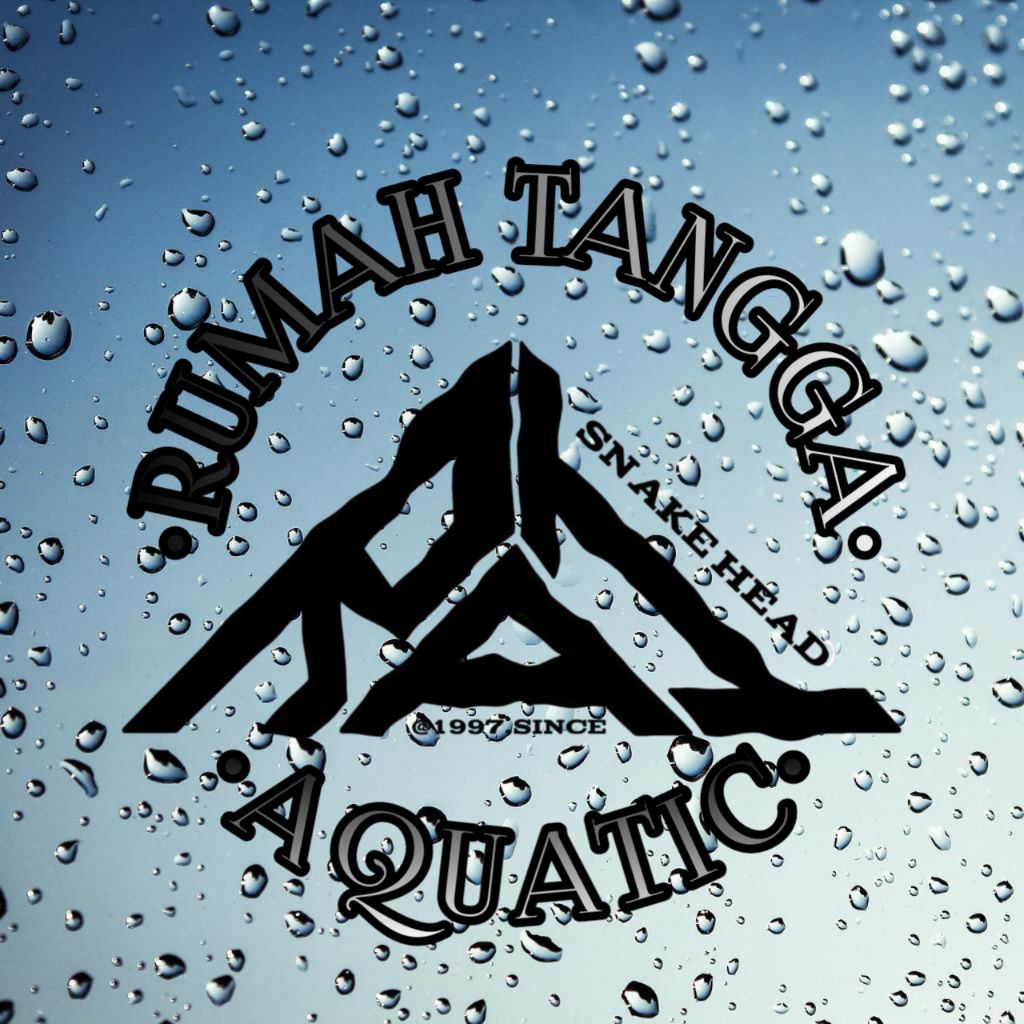 stiker chana stewarti