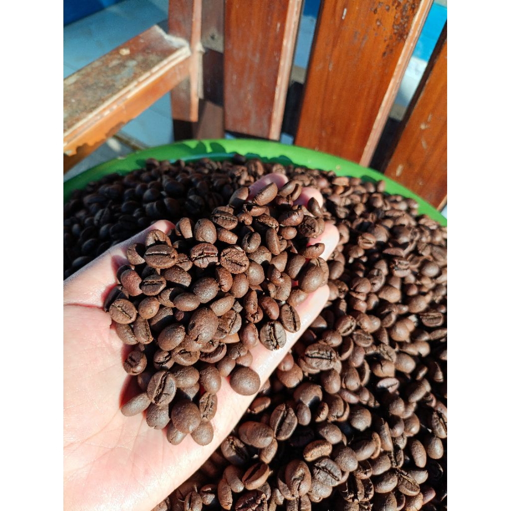 

Kopi Sangrai Asli Robusta 1 kg Biji Kopi Murni