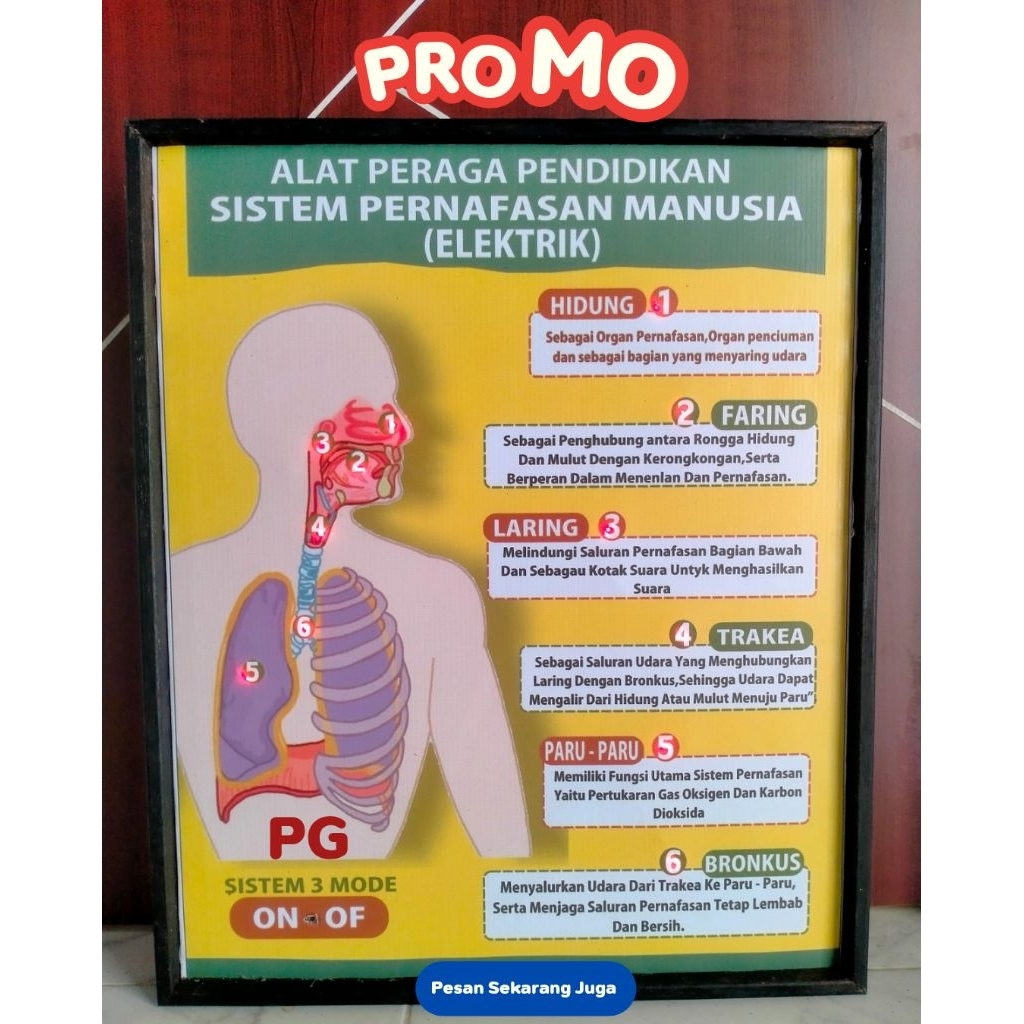 

ALAT PERAGA PERNAFASAN ELEKTRIK SD-SM