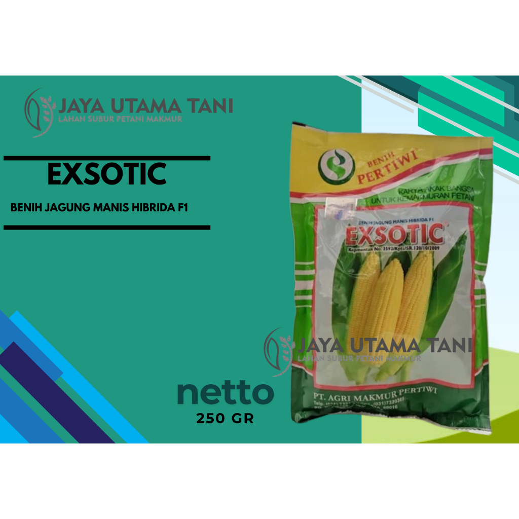 Jagung manis eksotik / exotic/ exsotik/ Benih Pertiwi - Benih Jagung Manis Exsotic (250 Gram)