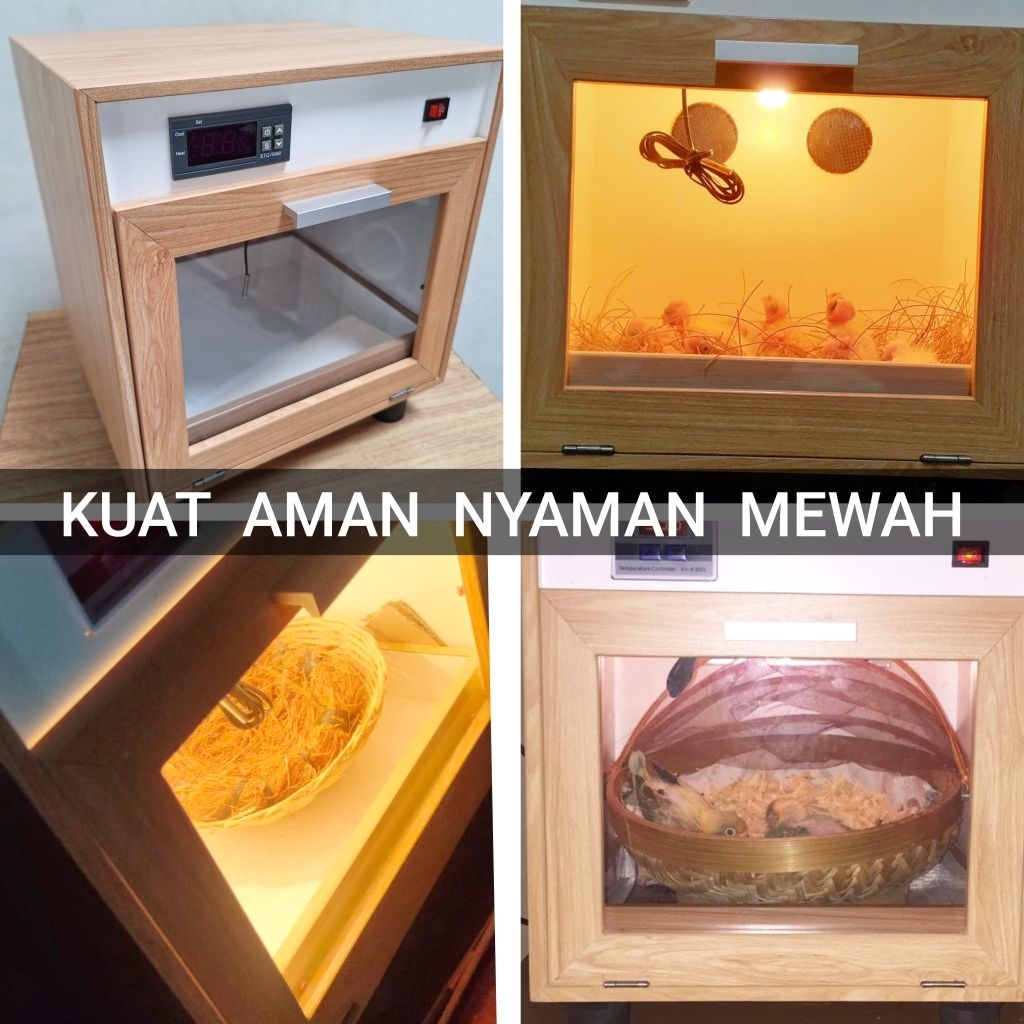Inkubator Penghangat Anakan Burung ukuran S