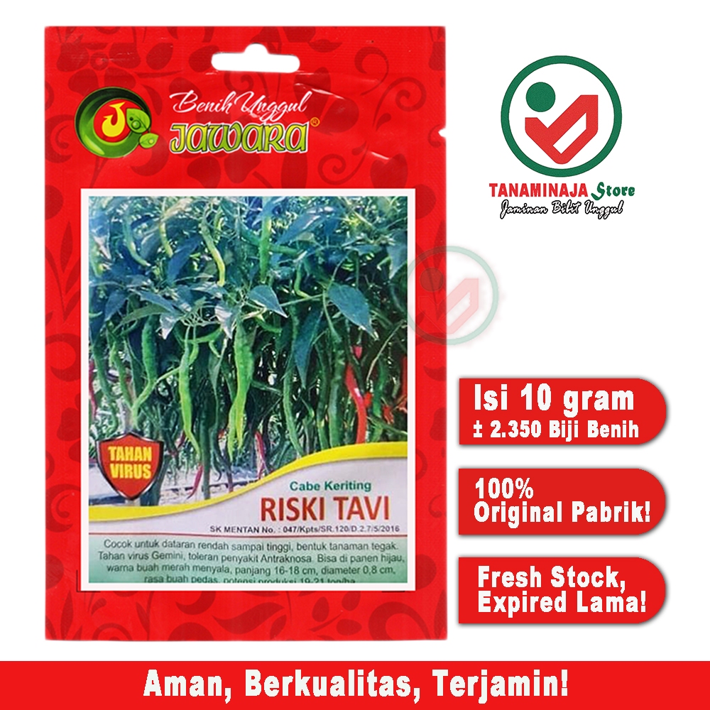 Benih cabe merah keriting Tahan Virus RISKI TAVI Isi 10 gr, bibit cabai keriting bersertifikat