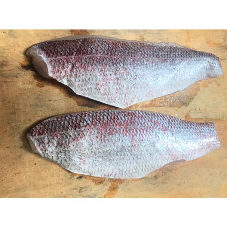 

Fillet Ikan Kurisi Anggoli Skin On murah segar 1kg Fresh