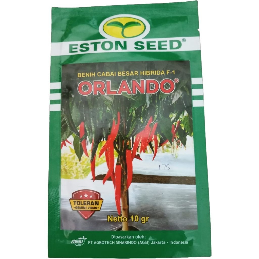 

ORLANDO CABE BESAR TAHAN VIRUS GEMINI