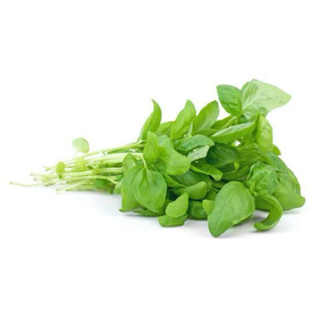 

DAUN KEMANGI - 36 FRESH PALEMBANG