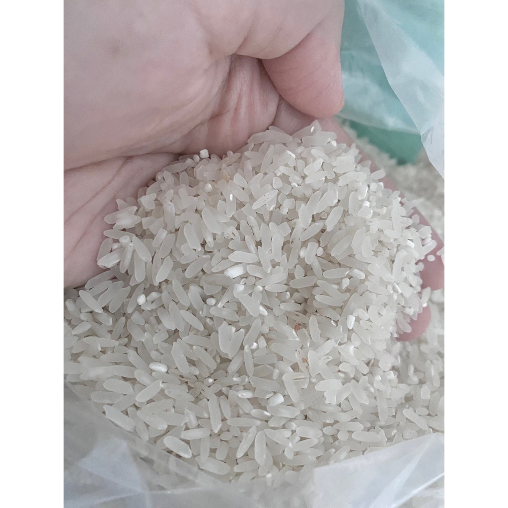 

PROMO BERAS LOKAL MURAH