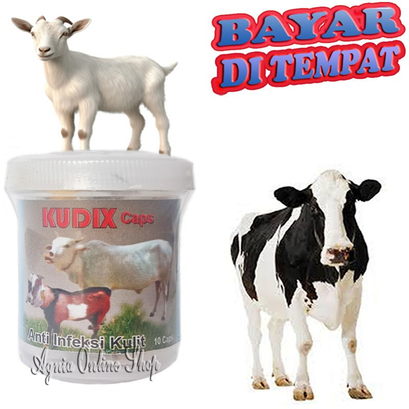 Obat Koreng Sapi KAmbing Kerbau KUDIX CAPS Sakit Jamur Gudik Borok