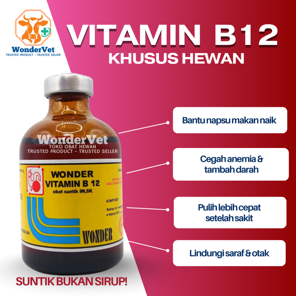 VITAMIN B12 injeksi/suntik HEWAN - ANEMIA KURANG DARAH - NAMBAH NAPSU MAKAN