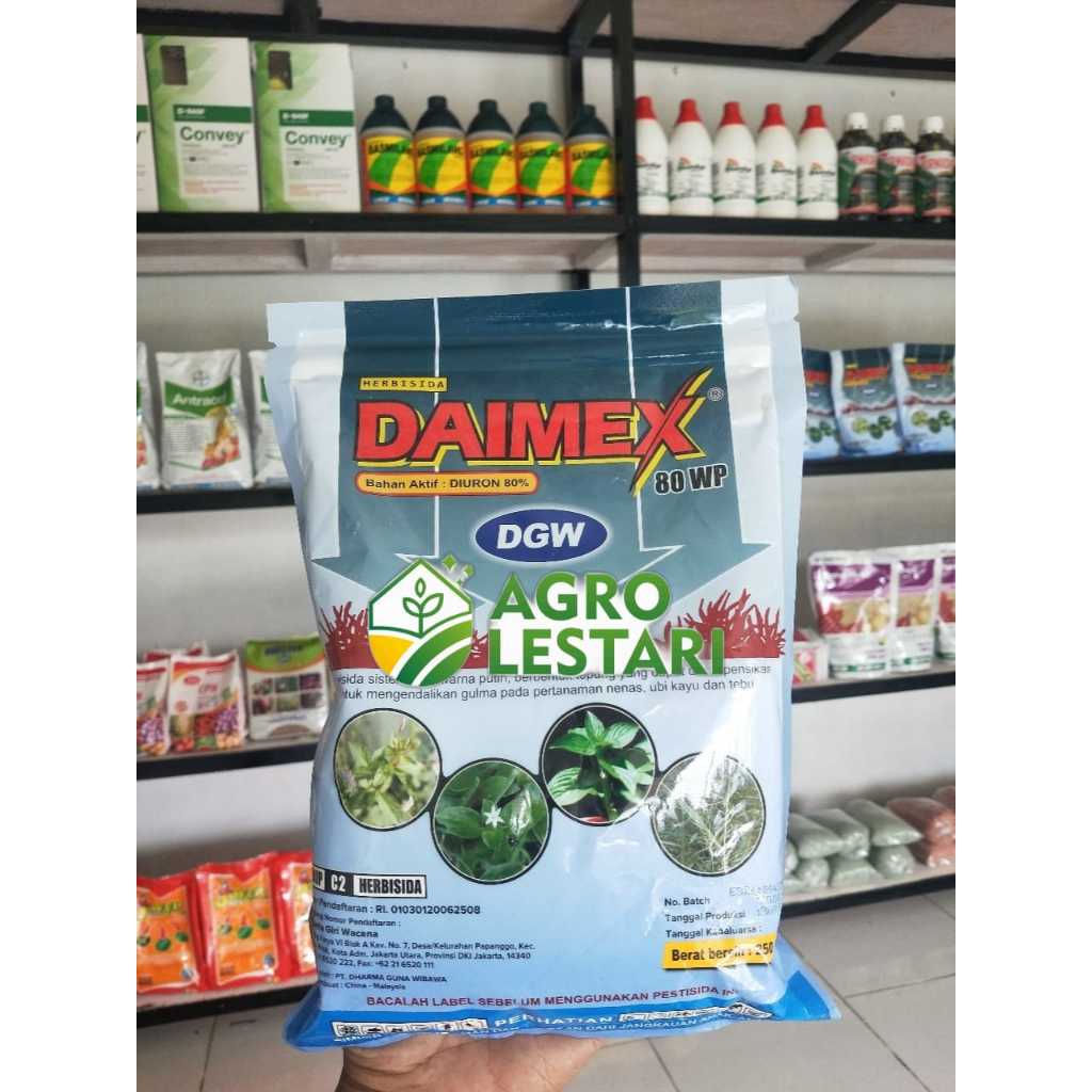 DAIMEX 80 WP DGW 250 GR - HERBISIDA