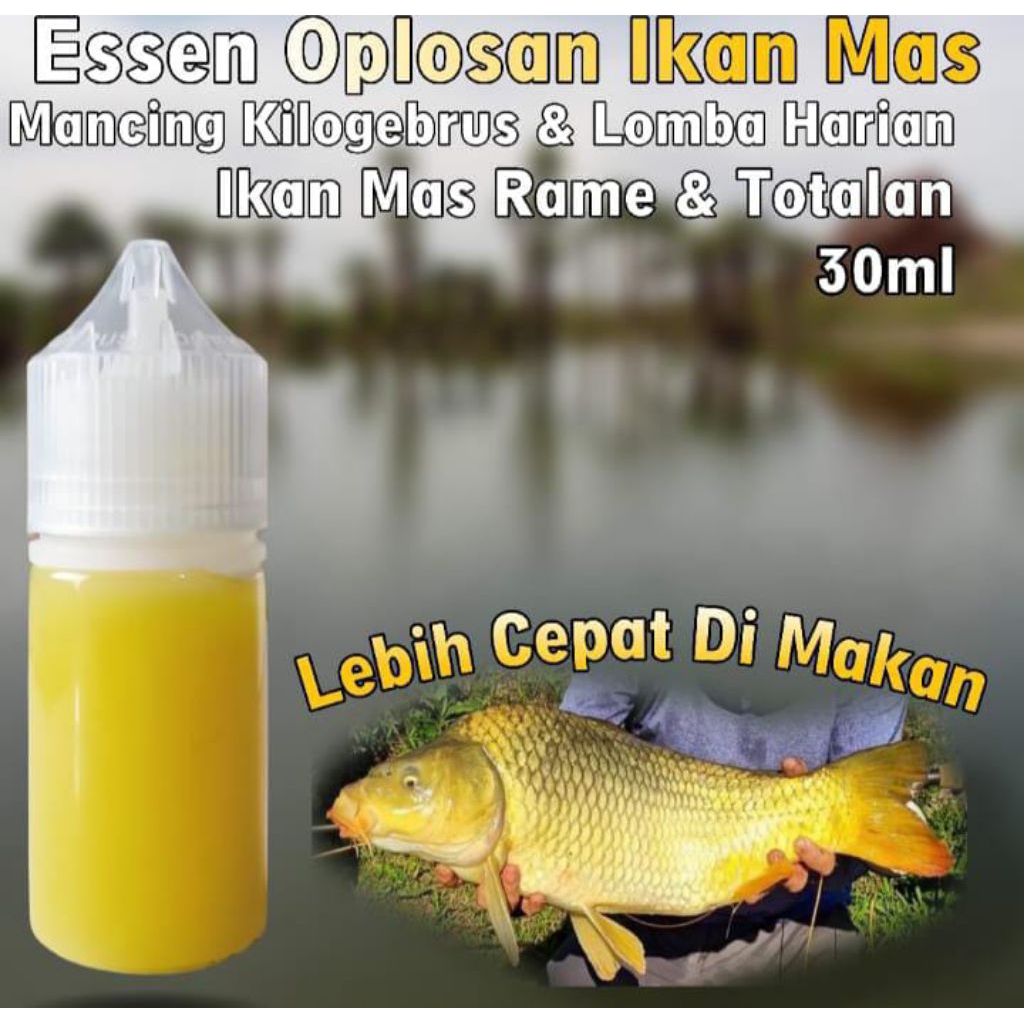 Essen Ikan Mas Rame, Essen Ikan Mas Harian, Essen Ikan Mas Kilogebrus, Essen Ikan Mas Totalan, Essen