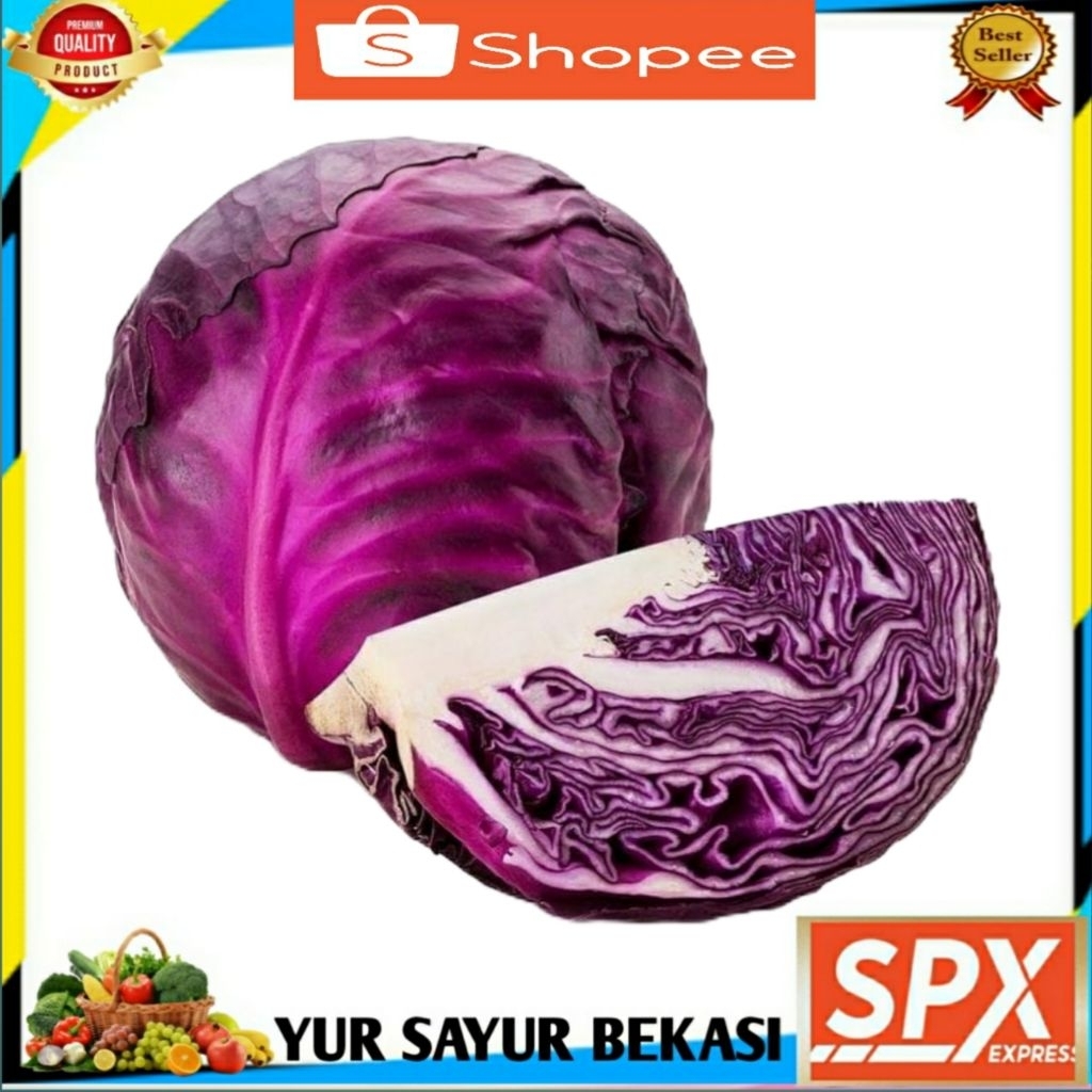 

Kol Ungu/Kubis Ungu (+- 500gr).