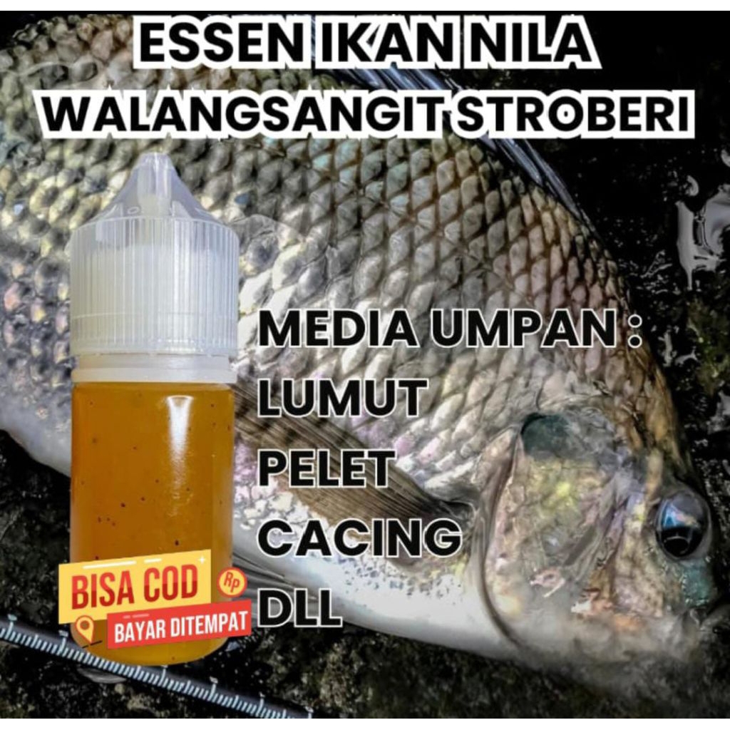 Essen ikan nila walangsangit strowbery media umpan lumut pelet cacing essen ikan nila paling gacor e