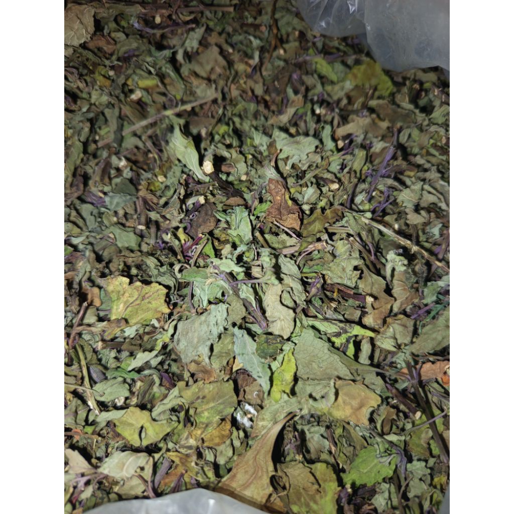 

Jual Kumis Kucing Kering Per 100 Gram Terbaik