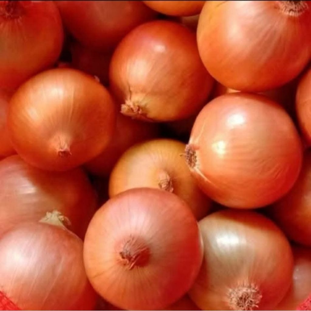 

bawang Bombay isi 3/bumbu masak/bombay