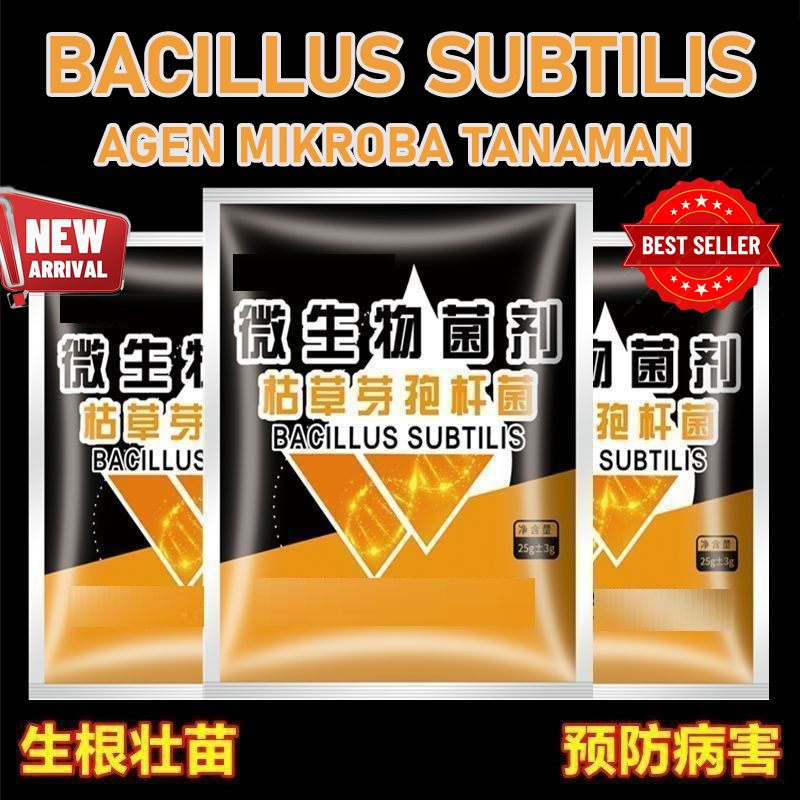 Pupuk BaciMax – Agen Mikroba aktif Bacillus Subtilis Kesuburan dan Kesehatan Tanah Vitamin Tanaman I