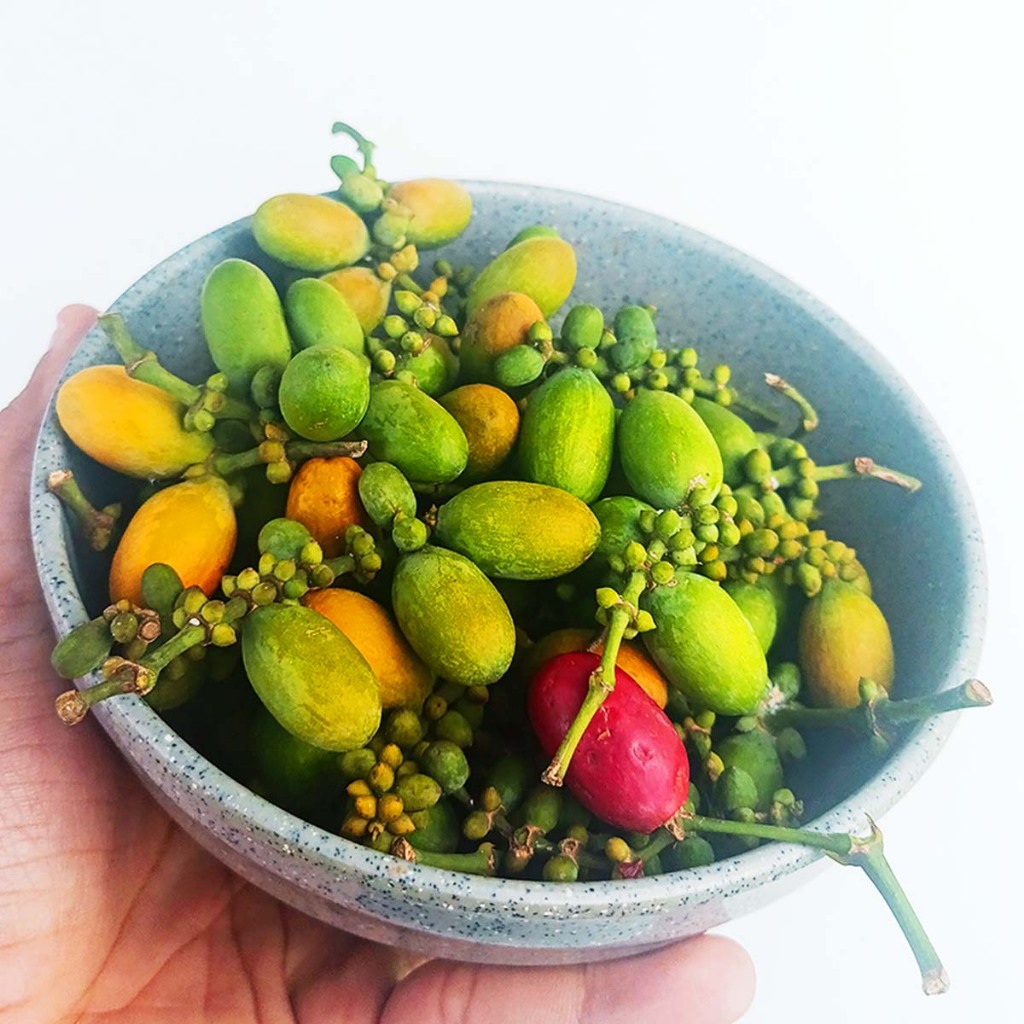 

Biji Melinjo / Biji Tangkil Sayur Asem, Lodeh Fresh 50g