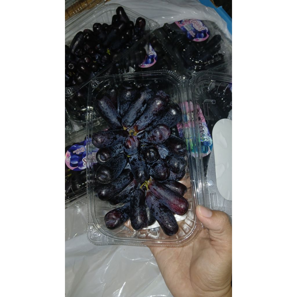 

Anggur Moondrops / Black Saphire kemasan 500gram