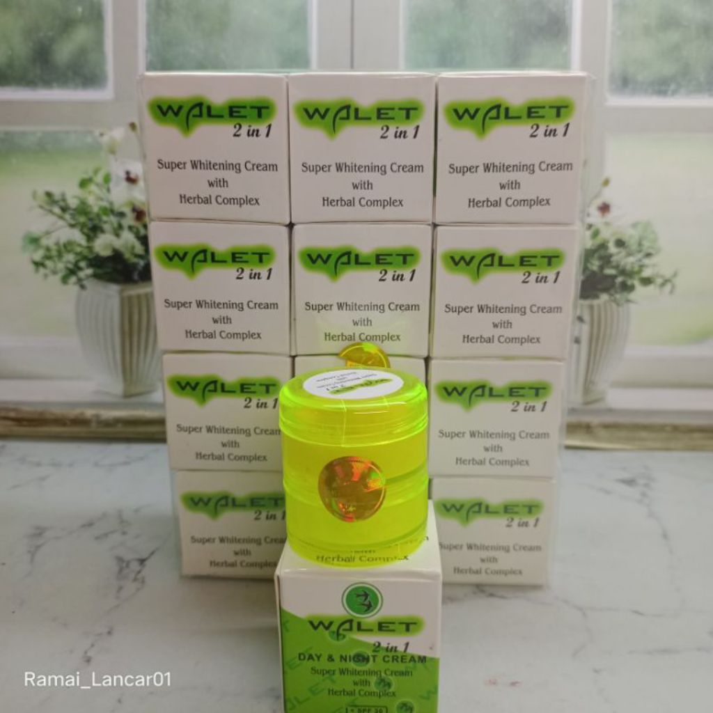 6pis cream walet susun 2in1 siang malam krim wajah