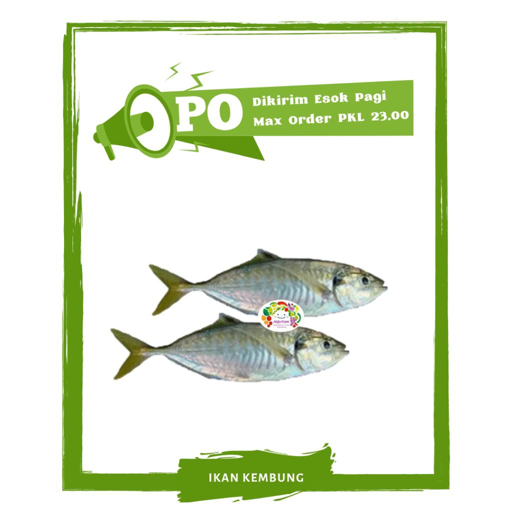 

Ikan Kembung / Ikan Segar PO Mallahrizwa