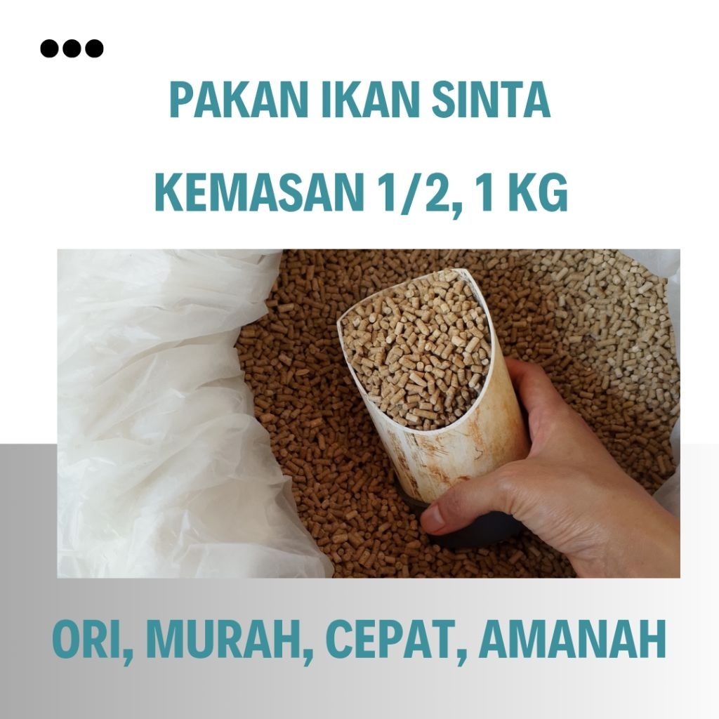 Original 100% Pakan Ikan Pelet Telem Tenggelam Bukan Apung Sinta | Sri Mulya - Murah, Cepat, Lengkap