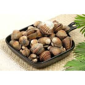 

Kerang Dara bersih kemasan 1kg