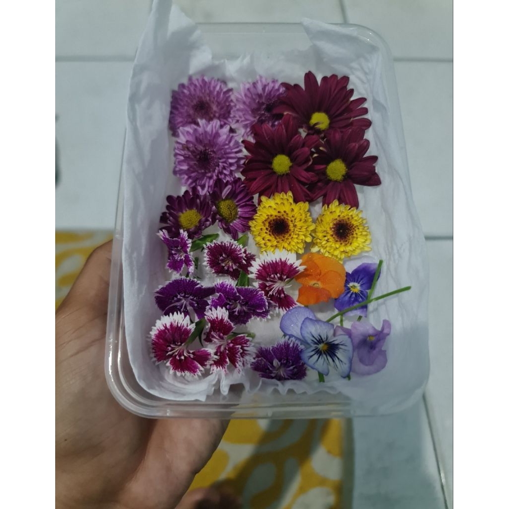 Edible Flowers MIX