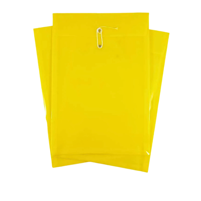 

Map Tali Warna RR Economy / 1 pack 12 pcs (kuning, hijau, merah, biru)