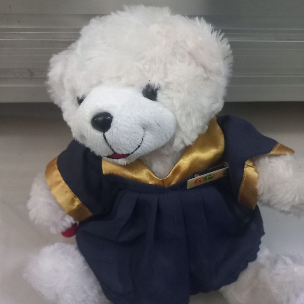 boneka teddy bear putih boneka teddy bear toga kecil