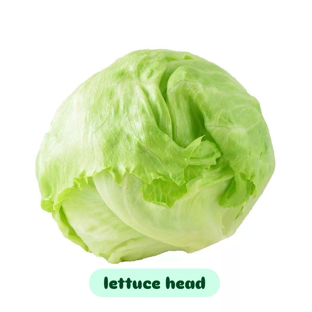 

Lettuce head fresh super 500g-1kg